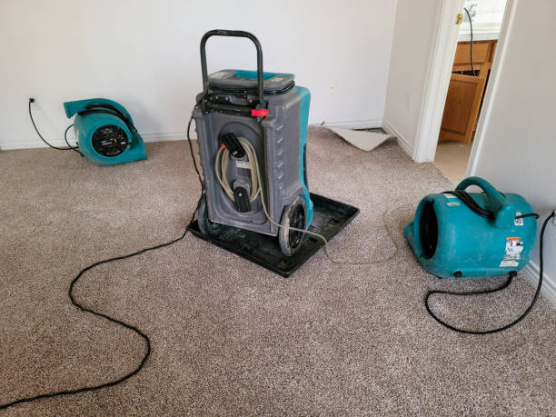Best Emergency water damage restoration  in Spirit Lake, IA
