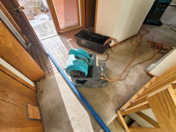 Best Ceiling water damage repair  in Spirit Lake, IA