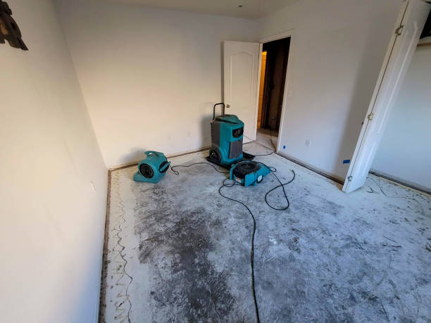 Best Fire Damage Restoration  in Spirit Lake, IA
