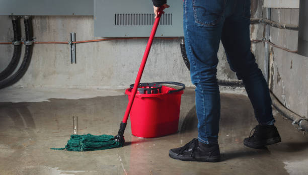 Best Flood restoration services  in Spirit Lake, IA