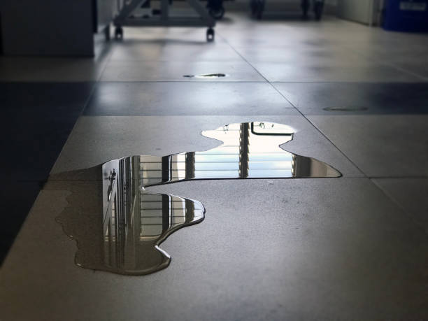 Best Commercial water damage restoration  in Spirit Lake, IA