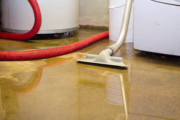 Best Water damage cleanup near me  in Spirit Lake, IA