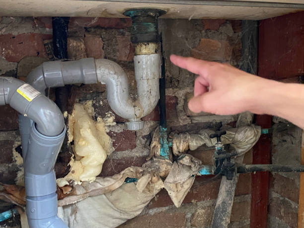 Best Commercial water damage restoration  in Spirit Lake, IA